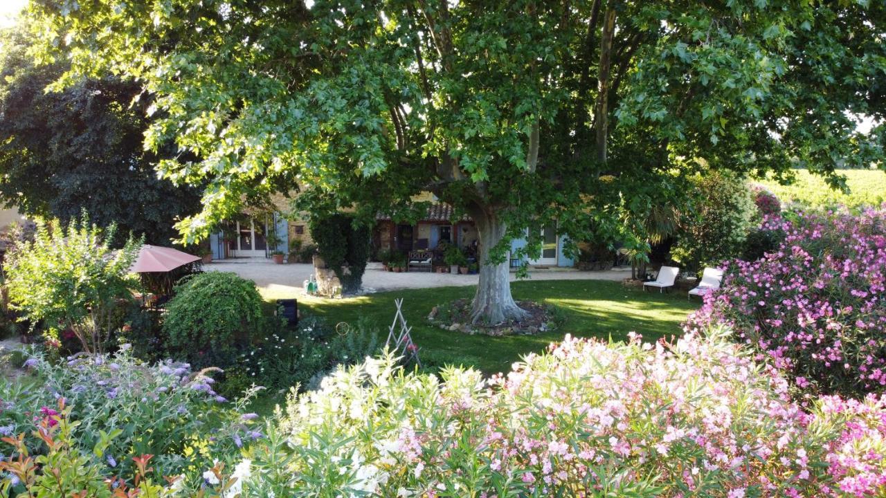 Mas du Clos de l'Escarrat Jonquieres  Extérieur photo