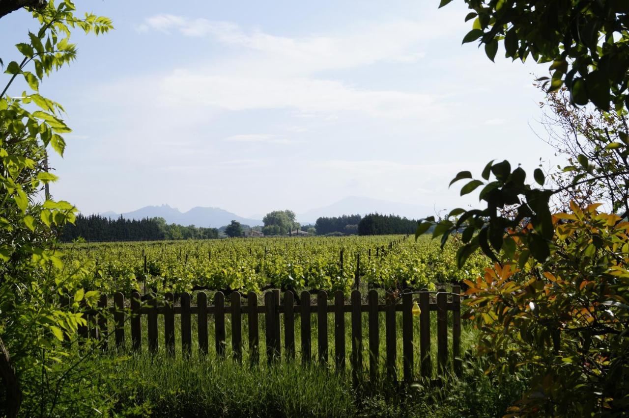 Mas du Clos de l'Escarrat Jonquieres  Extérieur photo