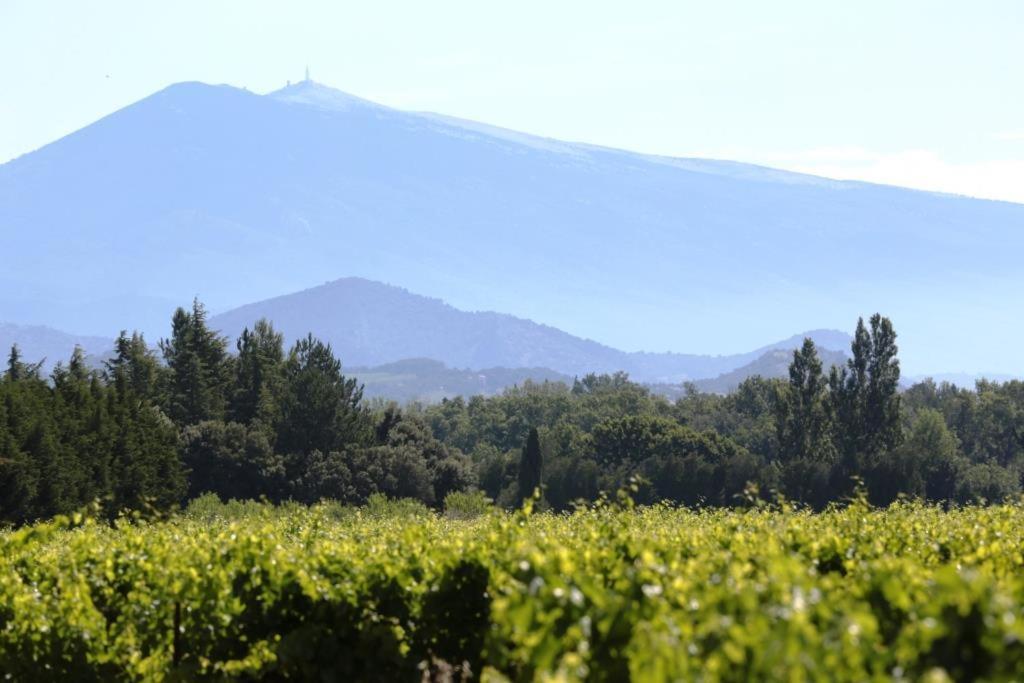 Mas du Clos de l'Escarrat Jonquieres  Extérieur photo