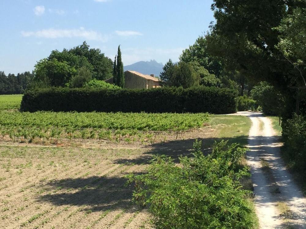 Mas du Clos de l'Escarrat Jonquieres  Extérieur photo